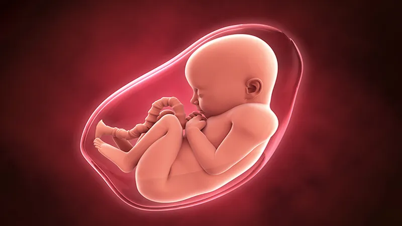 Nước ối trong thai kỳ: vai trò và tác dụng của nó