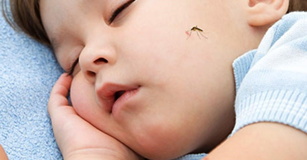 Mách mẹ mẹo trị vết muỗi đốt và biện pháp phòng ngừa trẻ bị muỗi đốt