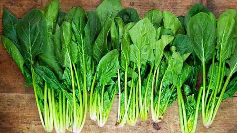 Cải bó xôi - Rau chân vịt là gì? Công dụng và nguy cơ cải bó xôi
