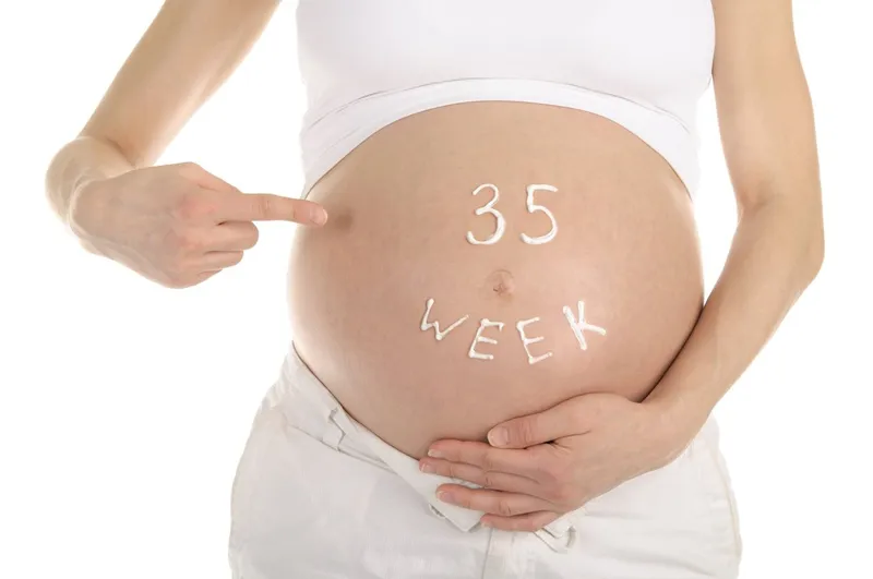 Thai 35 tuần nặng 3kg có to không? tìm hiểu về quá trình phát triển thai nhi