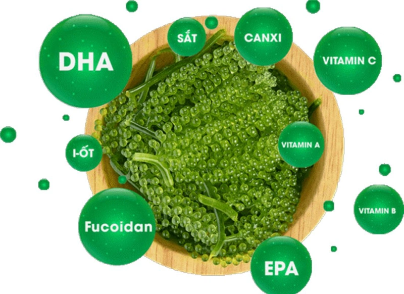 Ăn rong nho khi mang thai: lợi ích và cách sử dụng