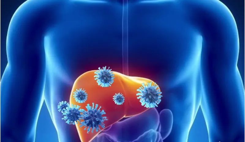Hiểu rõ cơ chế tấn công của virus giúp bạn có phương án điều trị viêm gan B hiệu quả nhất.