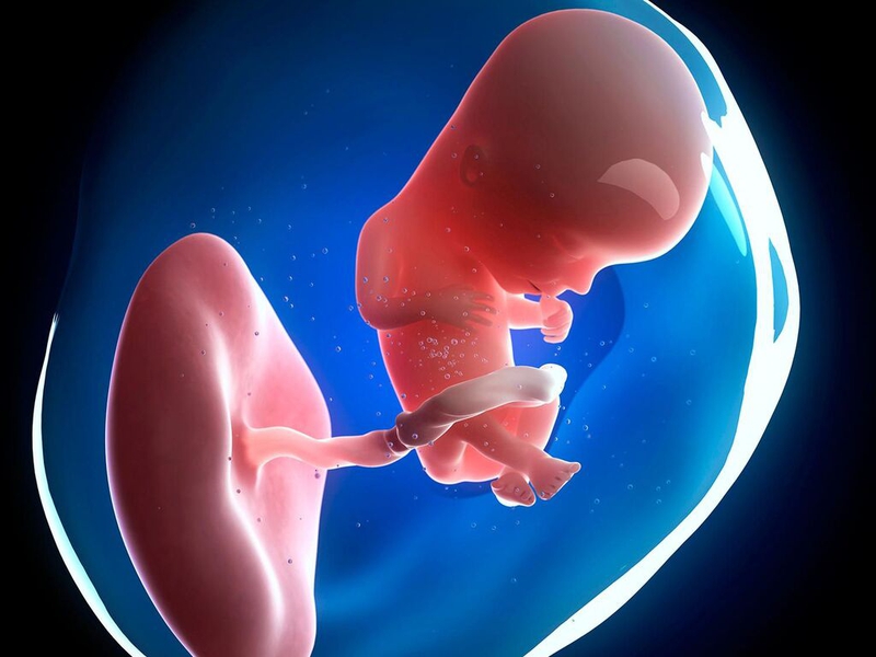 Tình trạng ốm nghén và mệt mỏi thường là dấu hiệu cho thấy nồng độ hormone thai kỳ đang hoạt động tích cực