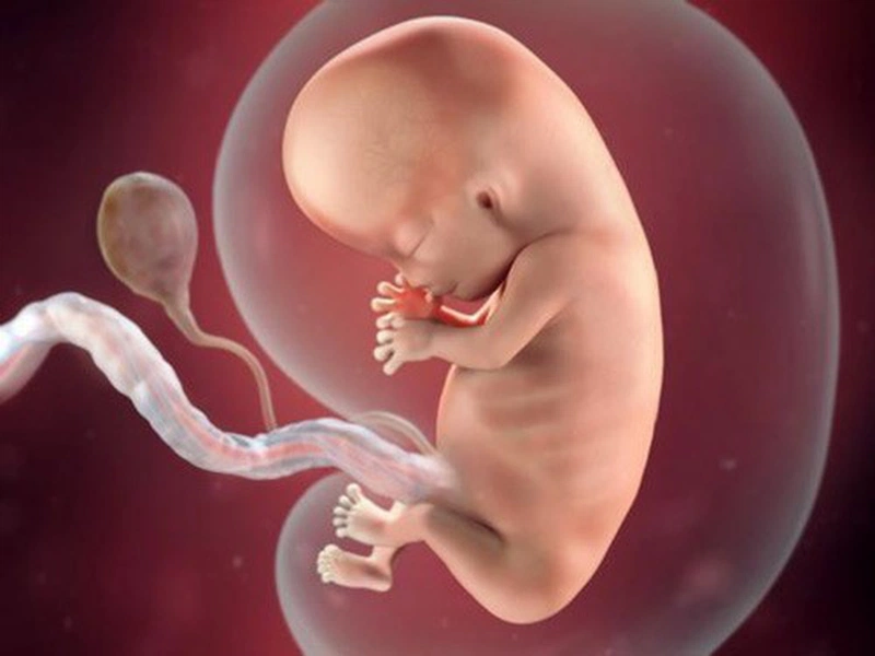 Thai nhi 15 tuần tuổi đã có những biểu cảm khuôn mặt và cử động linh hoạt