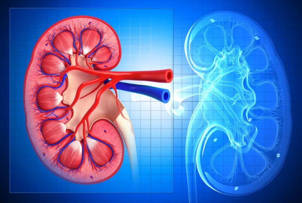 Cảnh giác với bệnh Lupus ban đỏ hệ thống biến chứng có nguy ...