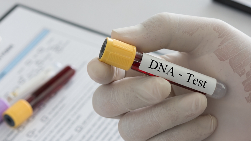 Xét nghiệm DNA là phương pháp hiệu quả để xác định chủng virus