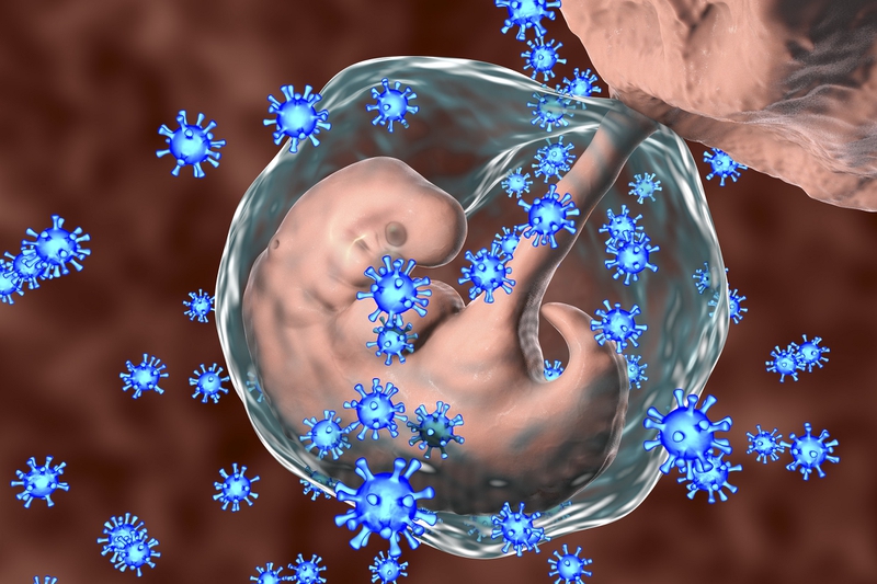 Minh hoạ về virus có thể xâm nhiễm đến thai