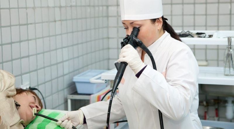Dạ dày tiếp tục phân giải thức ăn trước khi chuyển xuống ruột non