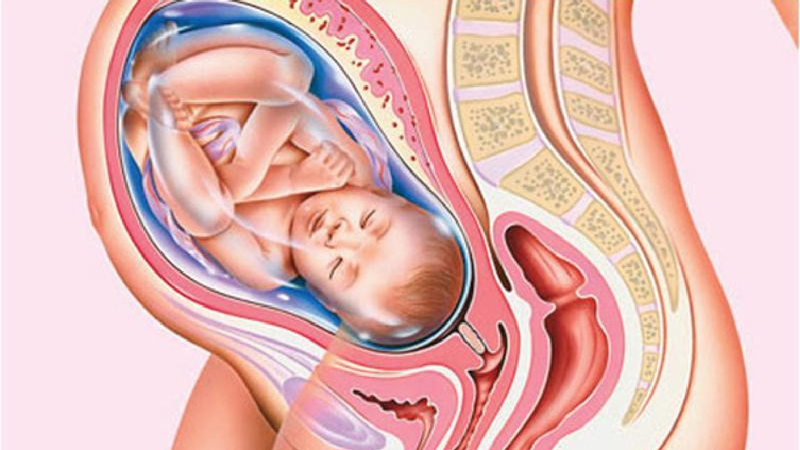 Bụng bầu ở tuần 30 đã khá lớn gây áp lực lên cột sống và vùng chậu của mẹ