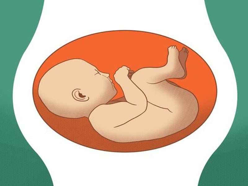 Hình ảnh minh họa vị trí của thai nhi trong buồng tử cung