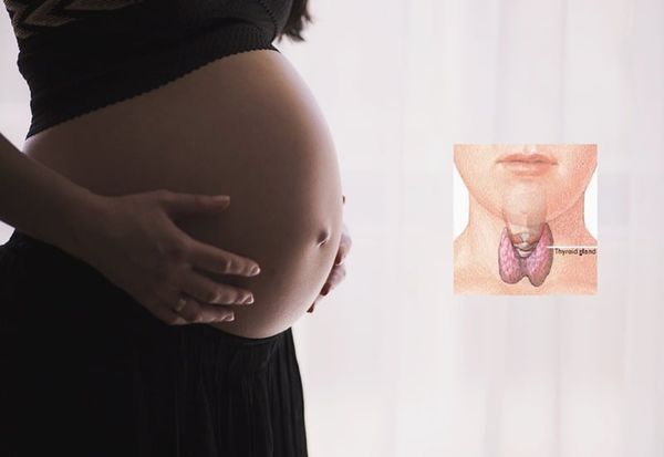 Hormone tuyến giáp và vai trò trong thai kỳ