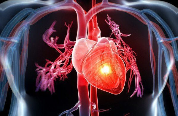 Minh hoạ về cấu trúc quả tim trong cơ thể người