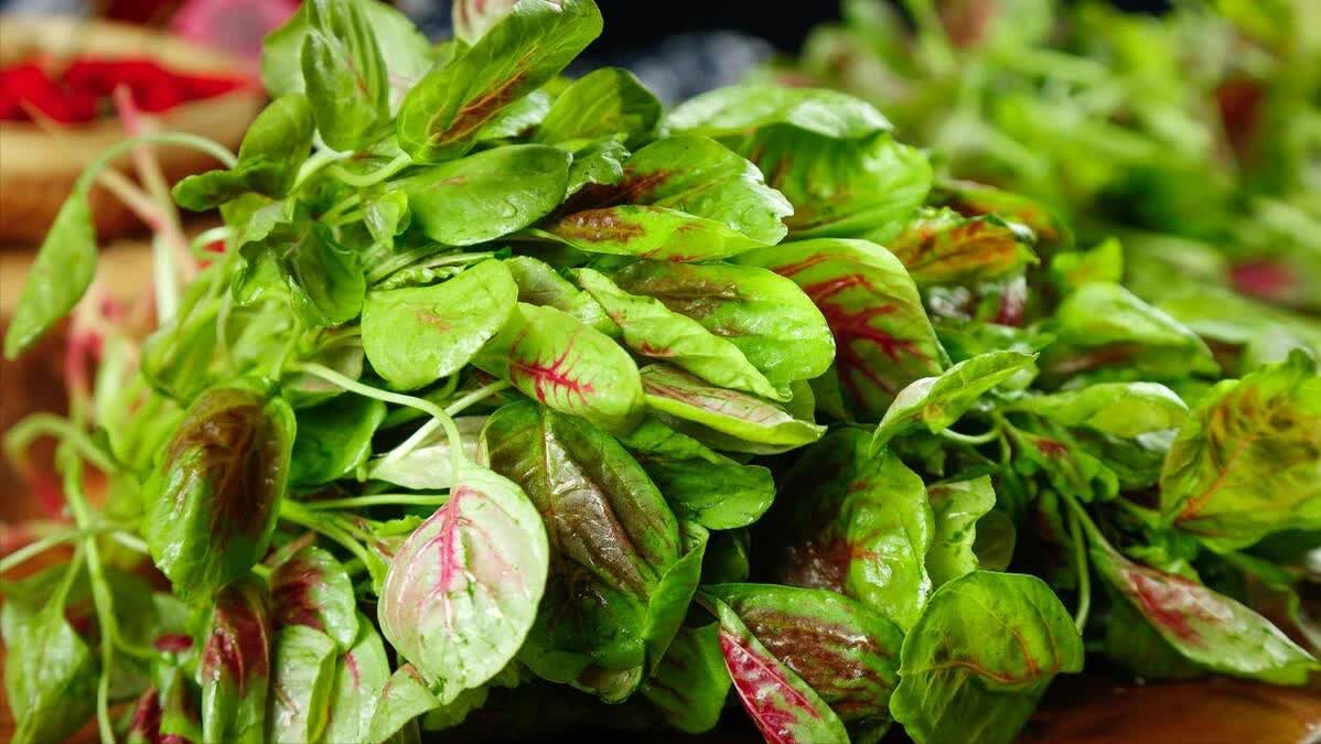 Mát gan nhờ rau dền