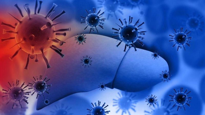 Máu là con đường lây truyền chính yếu và nguy hiểm nhất của virus viêm gan C 