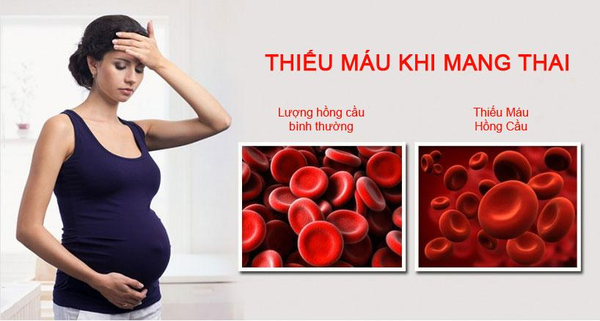Hình ảnh minh họa sự thay đổi kích thước hồng cầu khi RDW tăng.