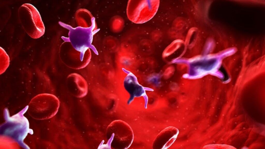 Bệnh tăng tiểu cầu: nguy hiểm hay không?