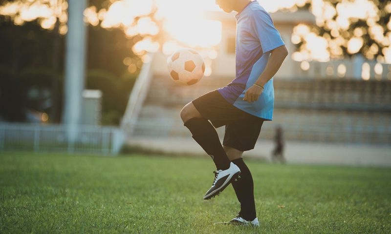 Khớp háng đóng vai trò quan trọng trong vận động của cơ thể