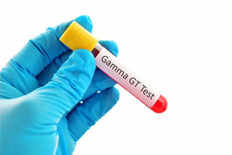 Gan và đường mật đóng vai trò quan trọng trong quá trình chuyển hóa của cơ thể
