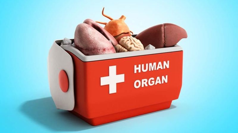 Thuốc ức chế miễn dịch là 'lá chắn' bảo vệ tạng ghép khỏi sự tấn công của hệ phòng thủ cơ thể