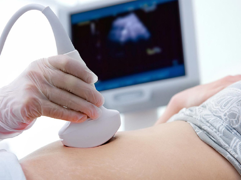 Minh hoạ về giai đoạn phôi thai trong bụng mẹ