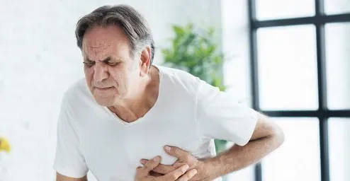 Minh họa về vị trí tim trong cơ thể và các bộ phận xung quanh tim