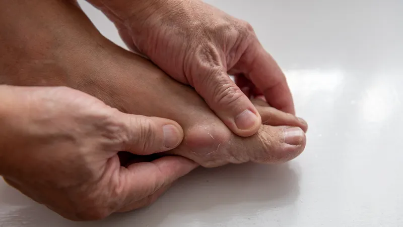 Hình minh họa giải phẫu bao hoạt dịch và dịch khớp trong khớp vai