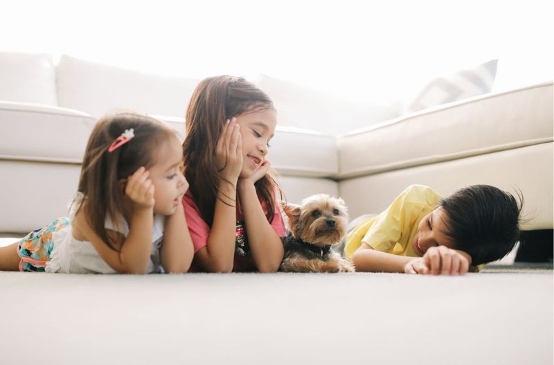 Dạy con yêu của bạn nhận biết các con vật - tạo yêu thương và khám phá khoa học