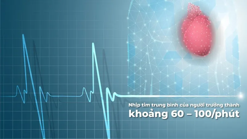Theo dõi nhịp tim hỗ trợ đánh giá tình trạng hoạt động của tim