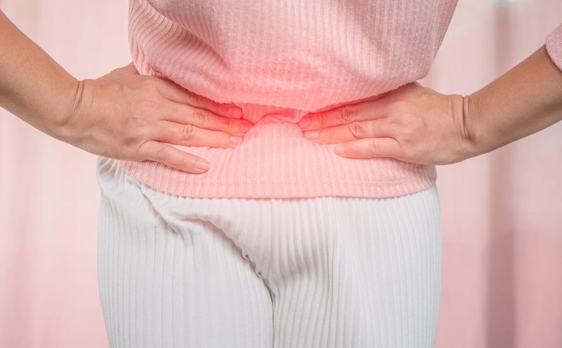 Các cơ quan trong hệ tiêu hóa phối hợp để xử lý thức ăn