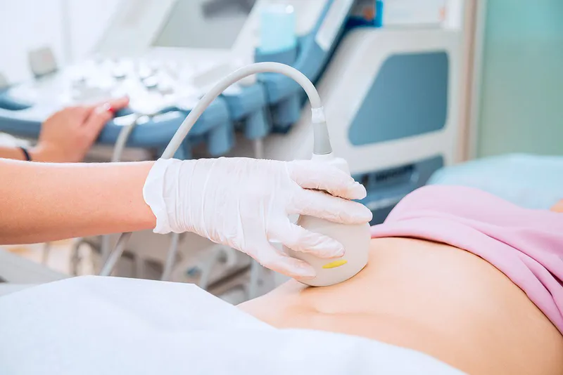 Minh hoạ cấu trúc đường mật và gan