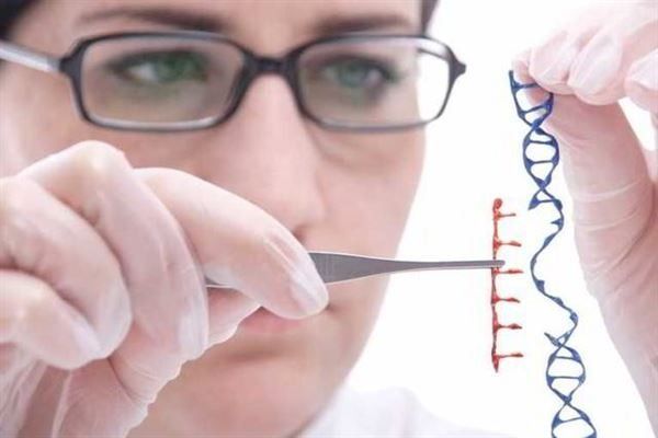 Tuân thủ phác đồ điều trị là cách duy nhất để loại bỏ hoàn toàn vi khuẩn HP 