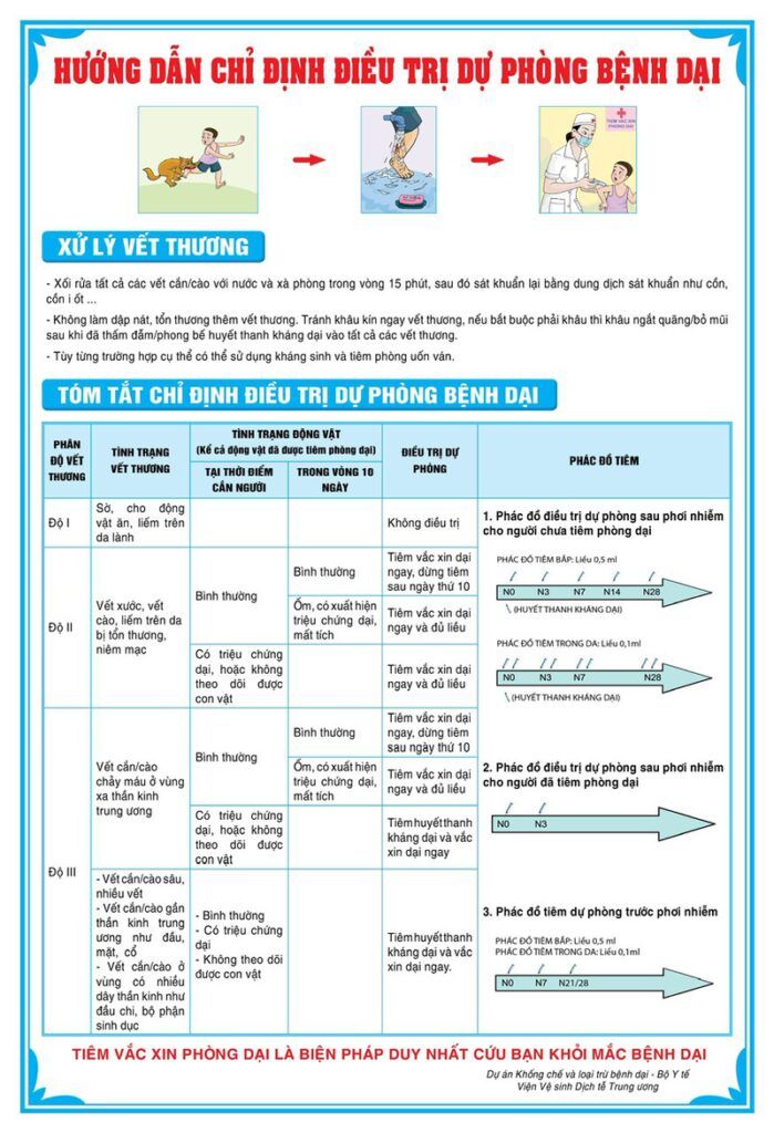 PHẢN ỨNG NHẸ SAU TIÊM PHÒNG DẠI Ở CHÓ NHƯ SƯNG TẤY TẠI CHỖ TIÊM