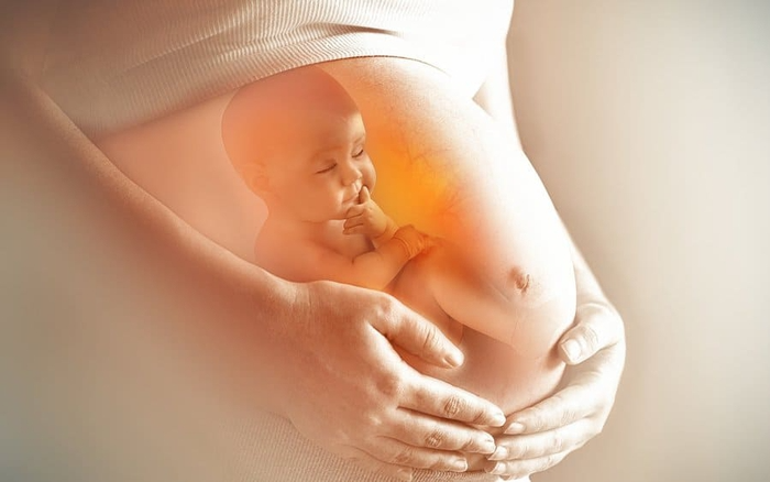 Chế độ dinh dưỡng hợp lý giúp mẹ bầu giảm bớt các khó chịu về tiêu hóa và bụng