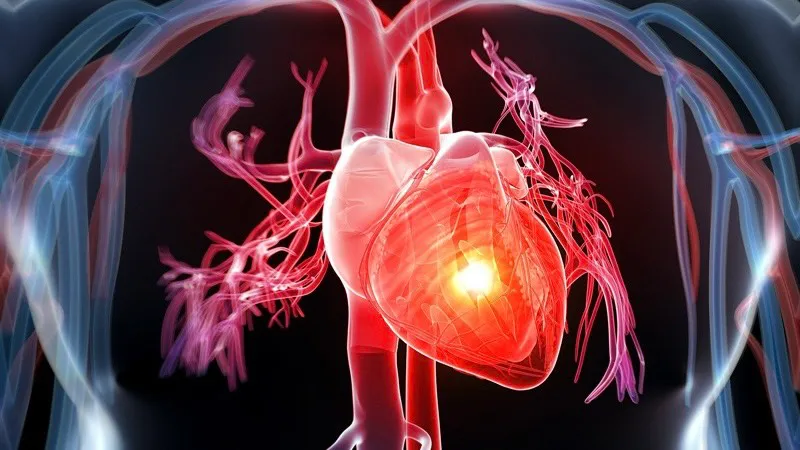 Hình minh họa theo dõi huyết áp tại nhà giúp kiểm soát hiệu quả – Nguồn: Sưu tầm