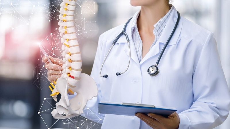 Tủy sống nằm trong ống sống và kết nối với các dây thần kinh đi khắp cơ thể