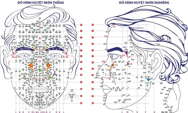 Hình ảnh diện chẩn