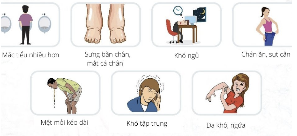 Những dấu hiệu cảnh báo suy thận