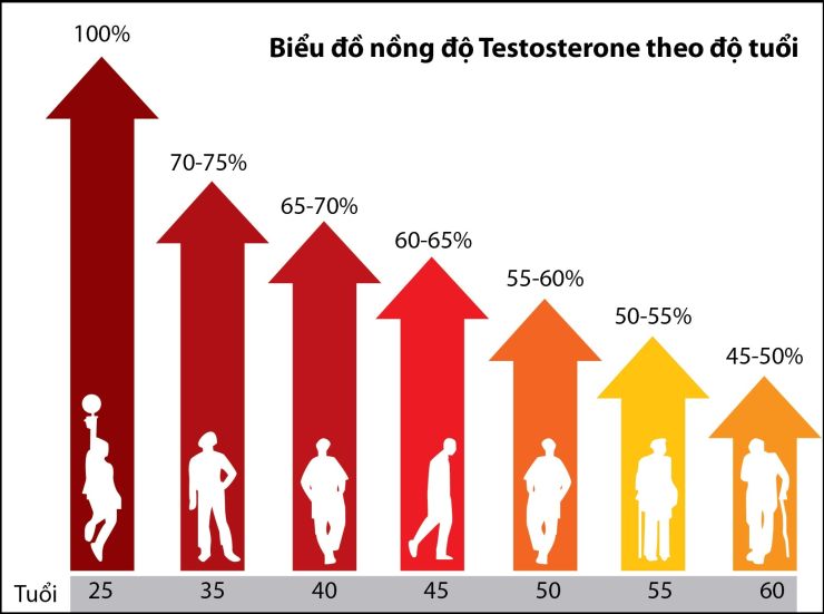 Nồng độ testosterone thường giảm cùng tuổi tác