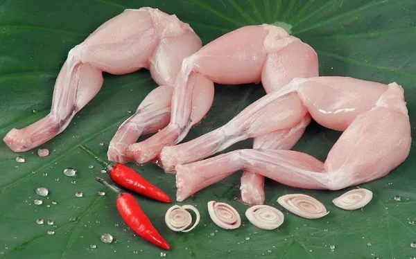 Thịt ếch chứa nhiều dinh dưỡng