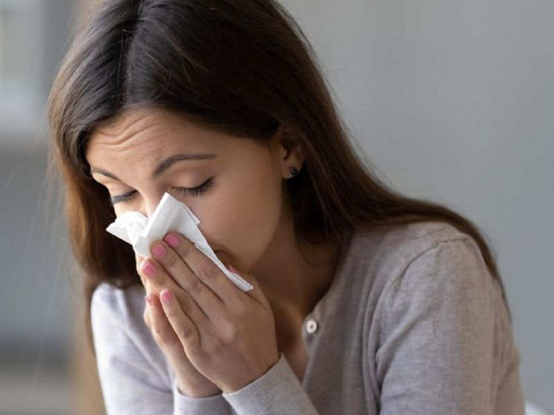 Rễ ngưu tất khô được chế biến để làm thuốc hỗ trợ sổ mũi