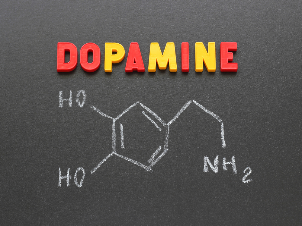 Dopamine - hormone “hạnh phúc” có trong cơ thể