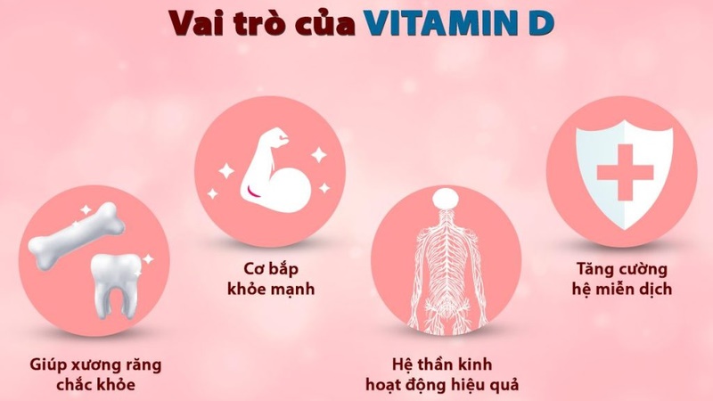 Vai trò của vitamin D đối với cơ thể.