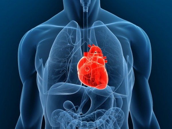 Minh hoạ về quá trình phẫu thuật ghép tim