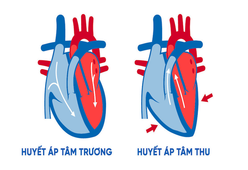 Huyết áp là chỉ số quan trọng để đánh giá sức khỏe tim mạch