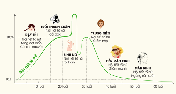 Nội tiết tố nữ estrogen ảnh hưởng đến ham muốn tình dục