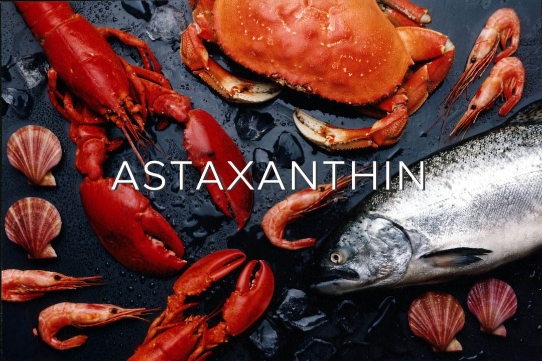 Astaxanthin có mặt trong nhiều loại hải sản