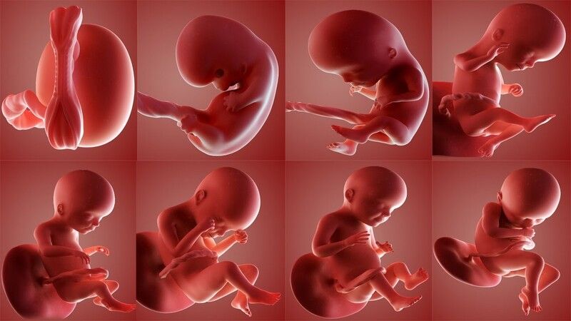 Thăm khám và thực hiện các xét nghiệm sàng lọc ở tuần 15 giúp mẹ an tâm hơn