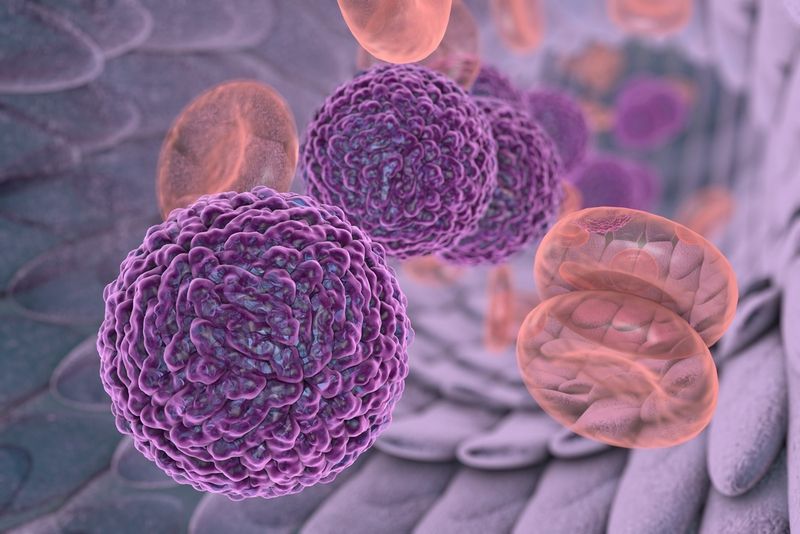 Sốt xuất huyết Dengue do virus lây qua muỗi vằn, dễ biến chứng nguy kịch từ ngày thứ 3 đến thứ 7.