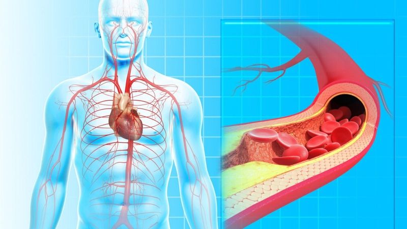 Chế độ ăn uống, vận động và kiểm tra sức khỏe định kỳ giúp phòng ngừa suy tim thể ấm ướt.