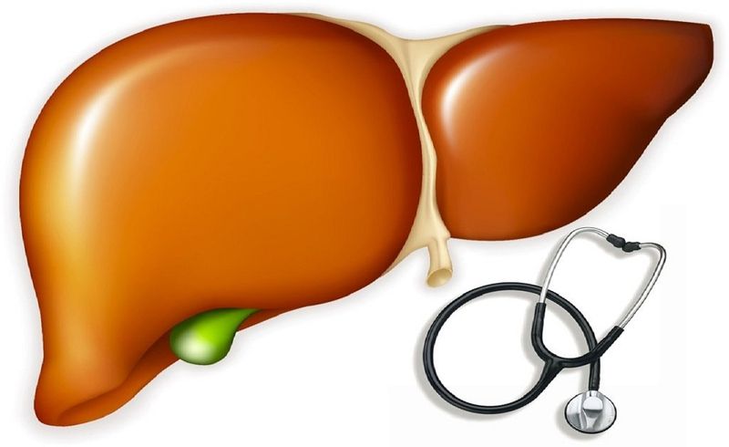 Viêm gan E mạn tính ở người suy giảm miễn dịch có thể dẫn đến xơ gan nhanh chóng